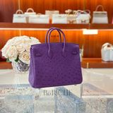  Birkin B25 Ostrich Anemone PHW 