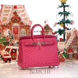  Birkin B25 Otrich Fuchsia PHW 