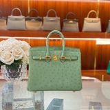  Birkin B25 Ostrich Vert Criquet GHW 