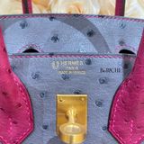  Birkin B25 Ostrich Bicolor HSS 