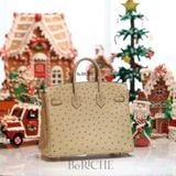  Birkin B25 Ostrich Chai GHW 