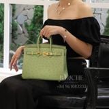  Birkin B25 Ostrich Vert Criquet GHW 