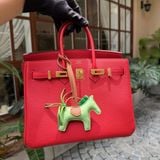  Birkin B25 Togo Rouge de coeur GHW 
