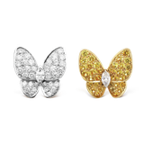  VCA Two Butterfly 