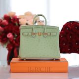  Birkin B25 Ostrich Vert Criquet GHW 
