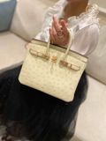  Birkin B25 Ostrich Parchemin GHW 
