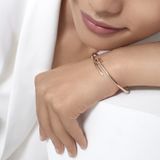  Cartier Juste un Clou bracelet 