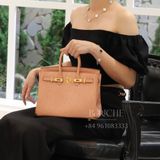  Birkin B25 Ostrich Terre Cuite GHW 
