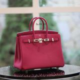  Birkin B25 Togo Rose Purple PHW 