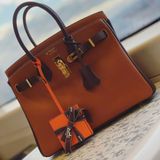  Birkin B25 Togo Bicolor Gold/Chocolate GHW 