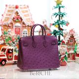  Birkin B25 Ostrich Anemone PHW 