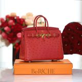  Birkin B25 Ostrich Rouge Vif GHW 