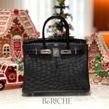 Birkin B30 Touch Ostrich Nilo Crocodile 