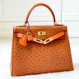  Kelly K25 Ostrich Bicolor GHW 