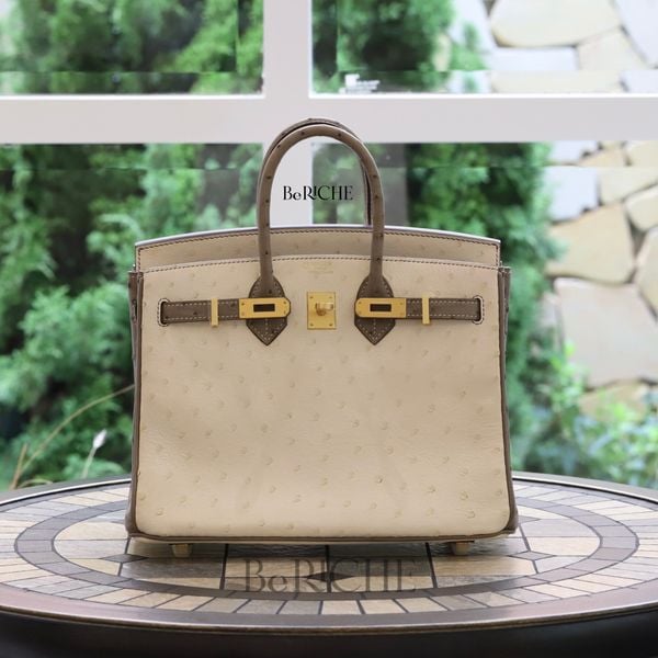  Birkin B25 Ostrich Beton + Gris Asphalts GHW 