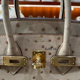  Birkin B25 Ostrich Chai GHW 