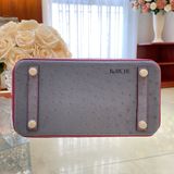  Birkin B25 Ostrich Bicolor HSS 