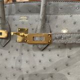  Birkin B25 Ostrich Gris GHW 