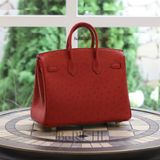 Birkin B25 Ostrich Rouge Vif GHW 