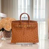  Birkin B25 Ostrich Cognac GHW 