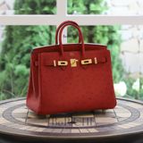  Birkin B25 Ostrich Rouge Vif GHW 