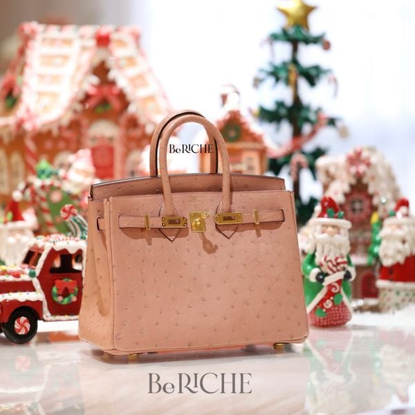  Birkin B25 Ostrich Terre Cuite GHW 