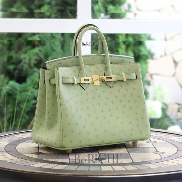  Birkin B25 Ostrich Vert Criquet GHW 