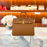  Birkin B25 Sellier Epsom Gold GHW 