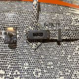  Birkin B25  Lizard Ombre PHW 