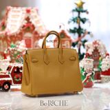  Birkin B25 Togo Sesame 