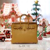  Birkin B25 Togo Sesame 