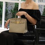  Birkin B25 Ostrich Gris GHW 