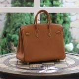  Birkin B25 Togo Gold GHW 