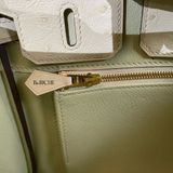  Birkin B25 Ostrich Parchemin GHW 