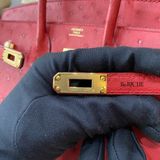  Birkin B25 Ostrich Rouge Vif GHW 