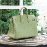  Birkin B25 Ostrich Vert Criquet GHW 