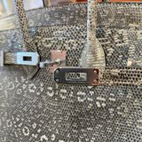  Birkin B25  Lizard Ombre PHW 