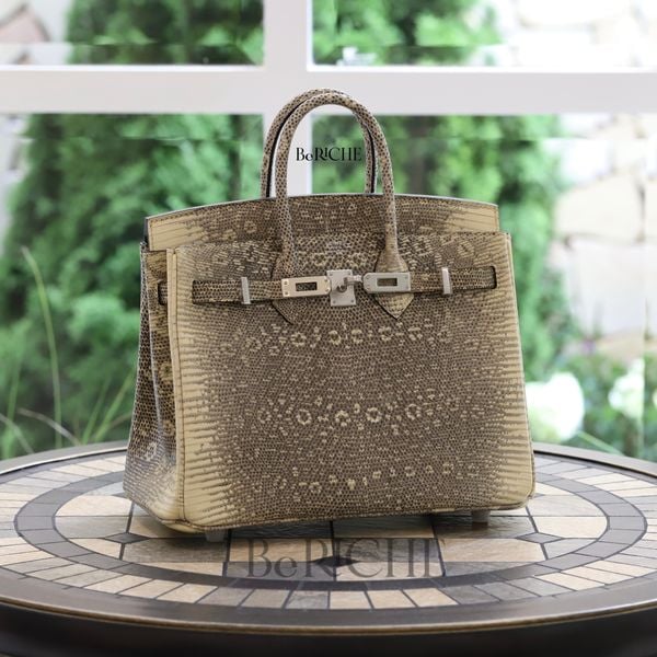 Birkin B25  Lizard Ombre PHW 