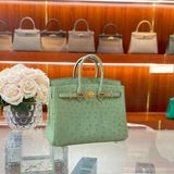  Birkin B25 Ostrich Vert Criquet GHW 