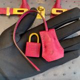  Birkin B25 Ostrich Bicolor HSS 