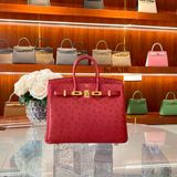  Birkin B25 Ostrich Rouge Vif GHW 