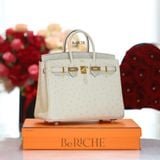  Birkin B25 Ostrich Parchemin GHW 