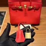  Birkin B25 Togo Rouge de coeur GHW 