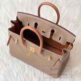 Birkin B25 Togo Bicolor GHW 
