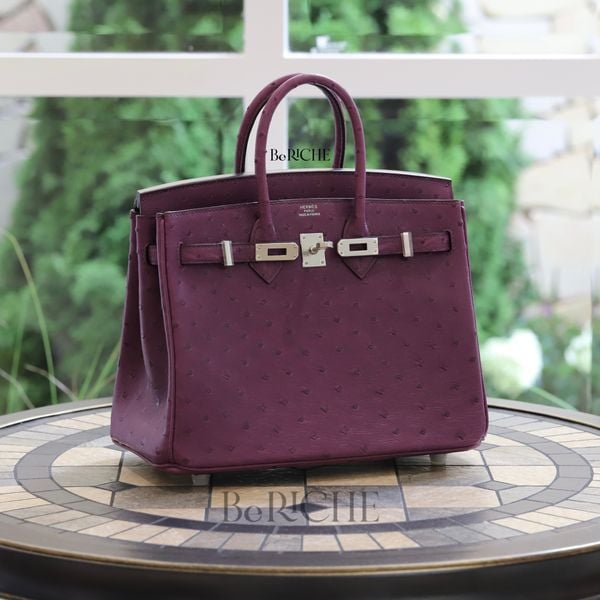  Birkin B25 Ostrich Anemone PHW 