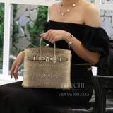  Birkin B25  Lizard Ombre PHW 