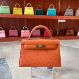  Kelly Mini K20 Ostrich Abricot GHW 