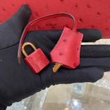  Birkin B25 Ostrich Rouge Vif GHW 