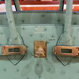  Birkin B25 Ostrich Vert Criquet GHW 