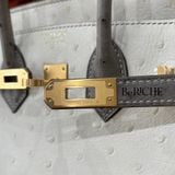  Birkin B25 Ostrich Beton + Gris Asphalts GHW 